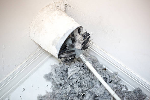 Best Professional Duct Cleaning Services  in Howe, TX